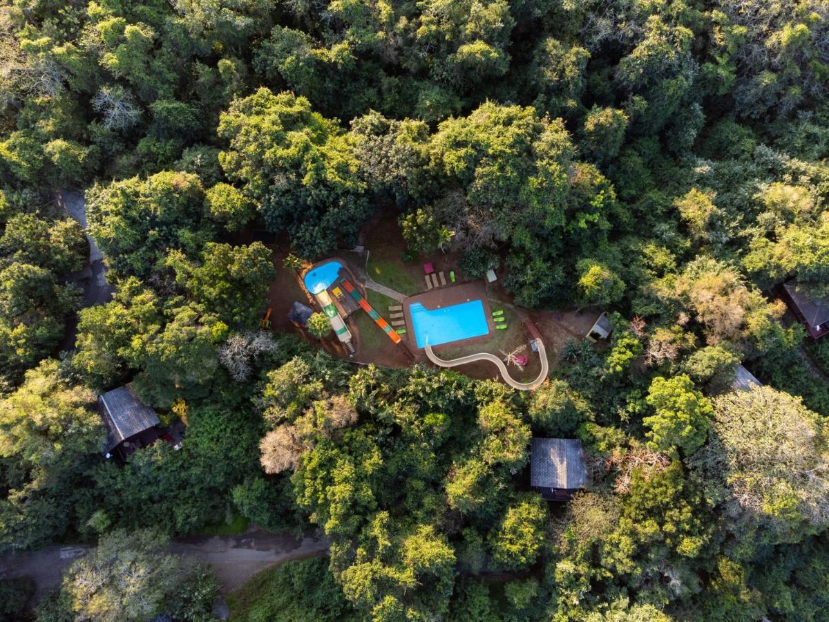 Mtunzini Forest Lodge Self Catering Resort Luaran gambar