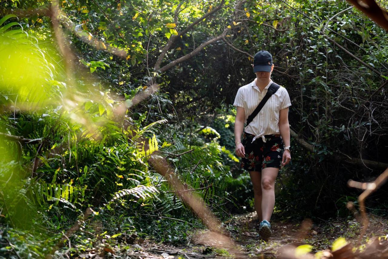 Mtunzini Forest Lodge Self Catering Resort Luaran gambar