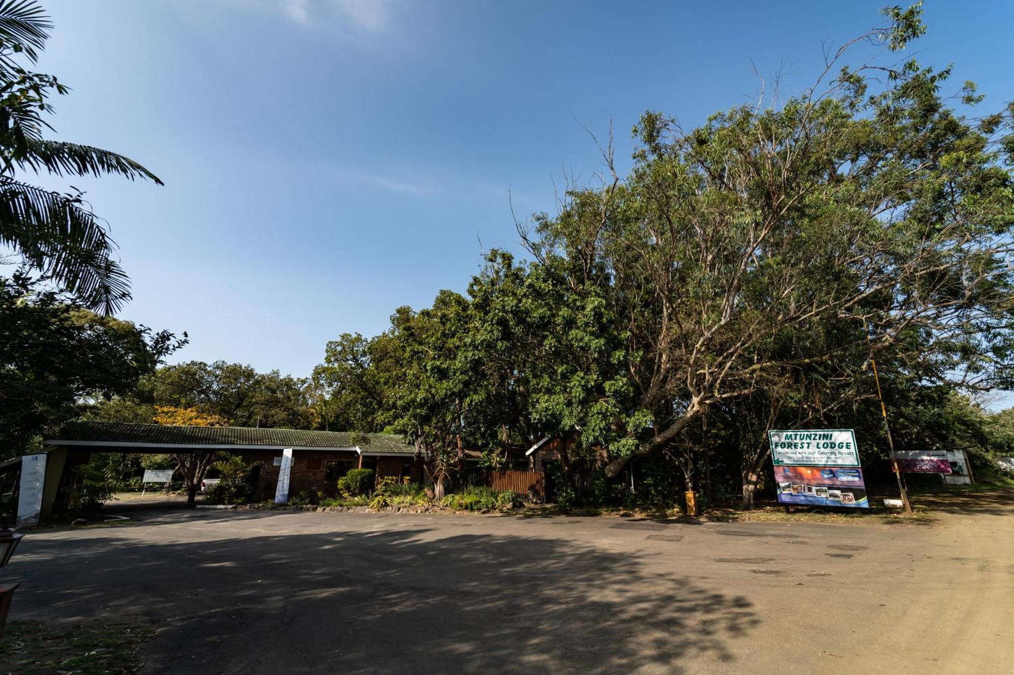 Mtunzini Forest Lodge Self Catering Resort Luaran gambar