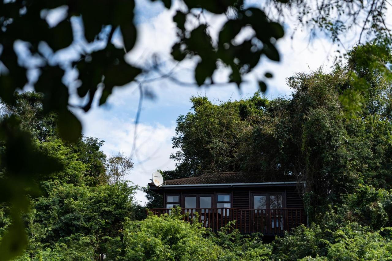 Mtunzini Forest Lodge Self Catering Resort Luaran gambar