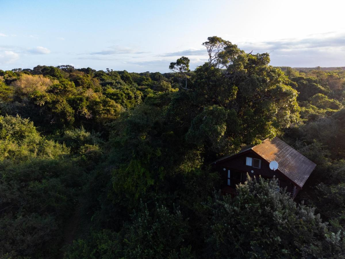 Mtunzini Forest Lodge Self Catering Resort Luaran gambar
