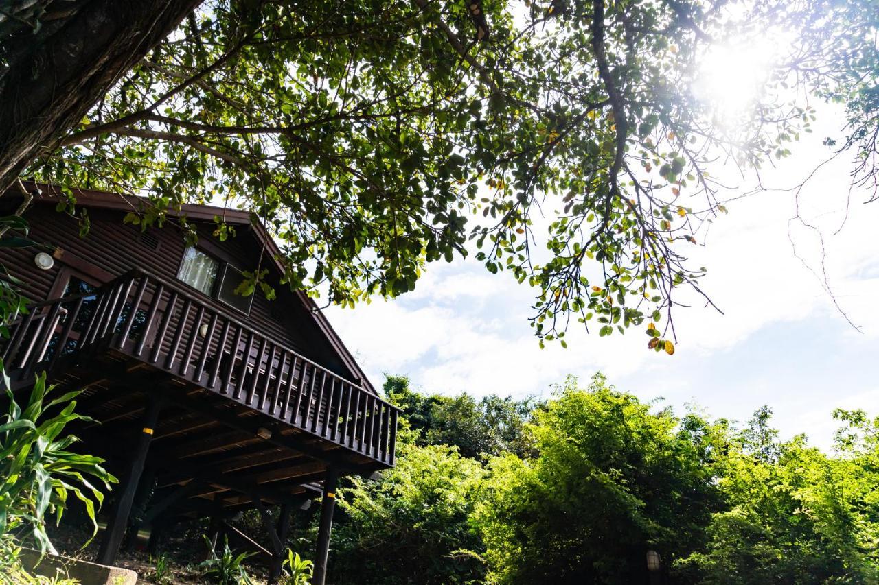 Mtunzini Forest Lodge Self Catering Resort Luaran gambar
