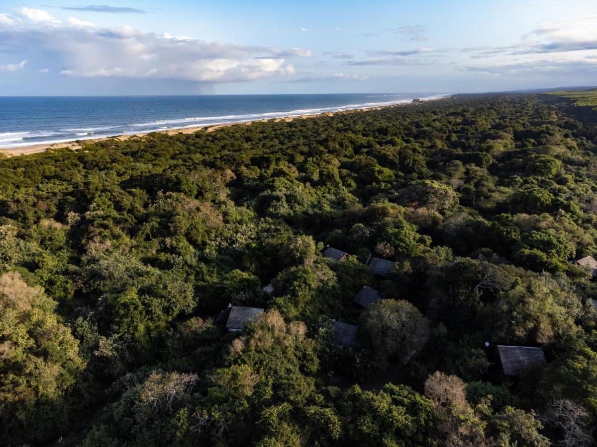 Mtunzini Forest Lodge Self Catering Resort Luaran gambar