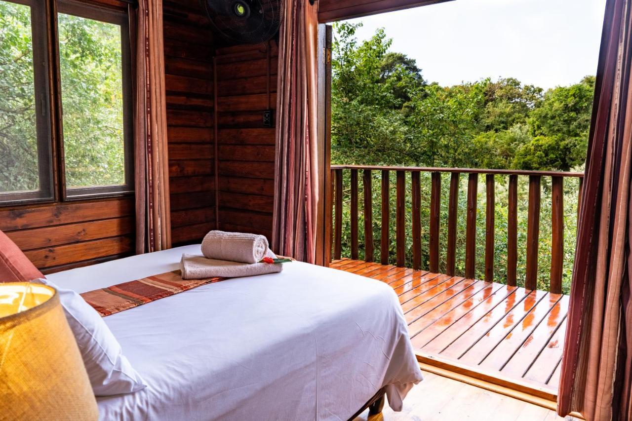 Mtunzini Forest Lodge Self Catering Resort Luaran gambar
